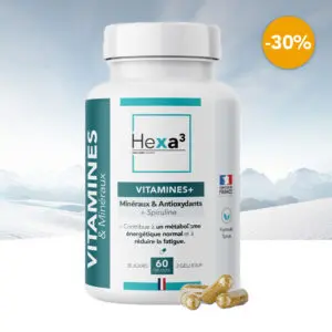 vitamines minéraux énergie tonus gélules hexa3