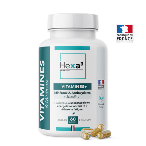 vitamines minéraux énergie tonus gélules hexa3