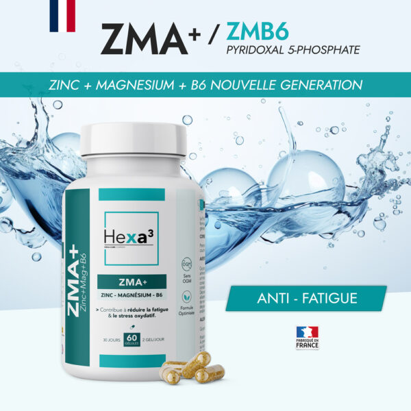 ZMA zinc magnesium B6 ZMB6 Hexa3 gélules