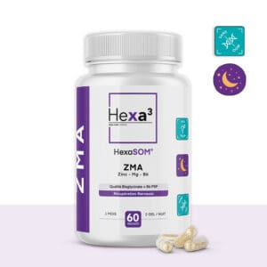 ZMA récupération nerveuse sommeil